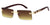 SA976 - Wholesale Sunglasses