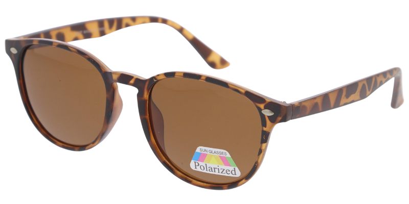 887P - Polarized Sunglasses
