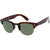 AL03 - New Arrivals