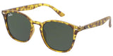 JR197 - Jolie Rose Wholesale Sunglasses